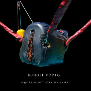 Bungee Rodeo