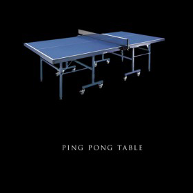 Ping Pong Table